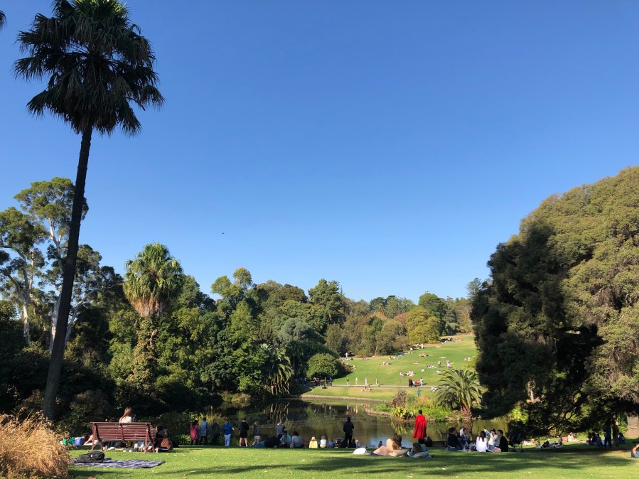 DkVSGG+5TNiZki5BAPkCmw