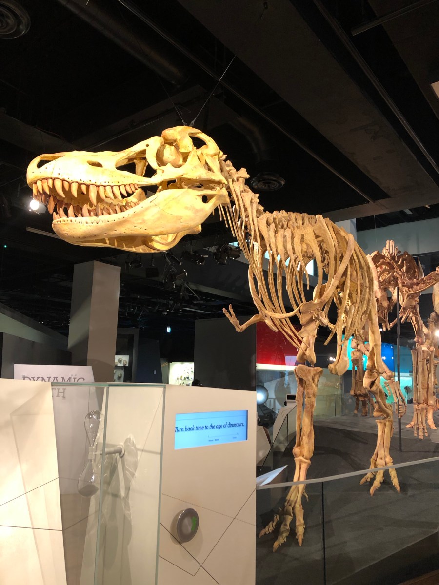 Q1euANH4THSba4HZr7eEyw